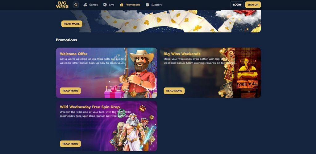 Big Wins Gambling Enterprise Testimonial: Software Application